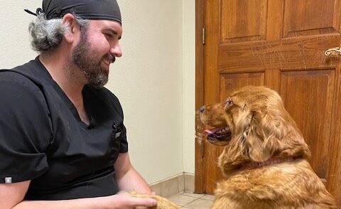 Dr. Raichel sitting in Elwood vet hospital teaching him to shake